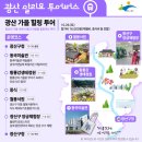 광산 알리요 투어버스(5월) 이미지