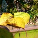 하대리목장 이미지