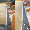 서울자곡초등학교 이미지