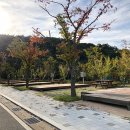 케이블카파크랜드 오토캠핑장 이미지