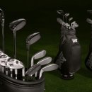 에이스골프클럽 이미지