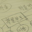 물과물고기