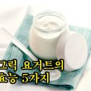 그릭 요거트의 효능 이미지