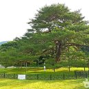 관기시장 티스토리