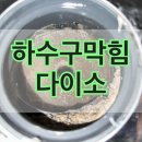 공세 1통 | 화장실 하수구 막힘 다이소로 안된 이유와 인덕원 배수구 뚫기
