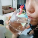 빠라삐리 이미지