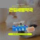 큰길세명약국 이미지