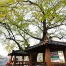 학산마을쉼터 이미지