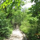 서울성북초등학교 이미지