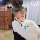 몽스타 Daum카페