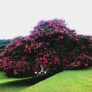 충렬사역 3번출구 이미지