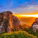 복 Daum카페