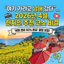 새순펜션 | "여기 가려고 남해 갔다"... 2026년 4월, 현지인이 추천한 이 코스 비결 🌊💛