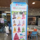 매산 | 전북 고창 카페, 고인돌박물관 인근 『카페 매산 105』 내돈내산 솔직후기