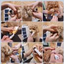 댕스럽개 이미지