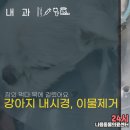 다나음동물병원 이미지