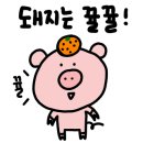 포응온 베트남쌀국수 이미지