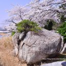 (주)다조은 | 강릉 한송정(寒松亭)과 경포대(鏡浦臺)이야기