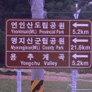 남한강낚시 이미지