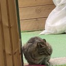 즐거운 뮤직케어링 네이버블로그