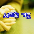 회개하는 세리의 기도 이미지