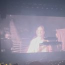 216 | 7년만 내한, 2025 KYGO 카이고 인스파이어 내한/216구역 후기