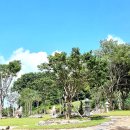 스테이4324 이미지