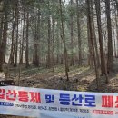 임내등산로 이미지