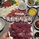 육회한뭉티기 | 용인술집 육회한차돌이 방문 후기 당일 도축 뭉티기 6,500 원