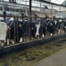 우의목장 이미지