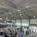 5044 | [상해 여행] 부산 - 상하이 중국동방항공 직항 MU5044 탑승후기