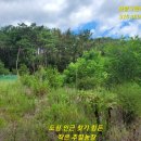 양덕동370 이미지