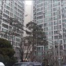 면목동-161 네이버블로그