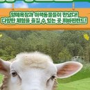 위드목장 이미지