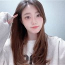 밴스의원화곡 이미지