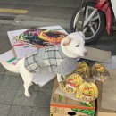 우리동네는 정말 살기 좋다