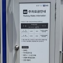 운목교 앞 | 한라산 윗세오름 코스 어리목에서 철쭉 명소까지 등산 꿀팁