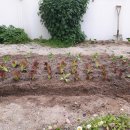 반송1동경로당 이미지