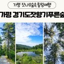 잣향기푸른숲 목공방 | 가평 여행 가볼만한곳 경기도 잣향기 푸른숲 방문 후기