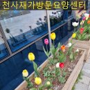 적성재가노인복지센터 이미지