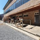 태백승마클럽 이미지