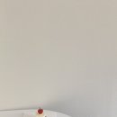 핑핑하우스