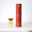 해바라기 헤어라인 이미지