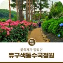 영정리 유구천 제방(2) | 아름다운 여름꽃 유구색동수국정원 꽃축제