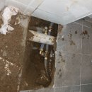 명장1동-1 이미지