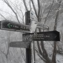 진관-028 이미지