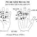 고려수지침요법학회 이미지
