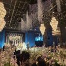 라노비아호텔 | W4. 대구 홀투어 노비아갈라 동촌점 27년 상반기 견적 후기 (계약완료)