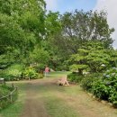 우암농원/천리포수목원,태안마애삼존물 방문기 이미지