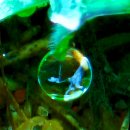 부평공원 이미지